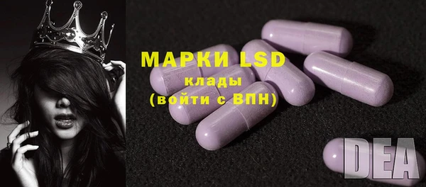 крисы Кодинск