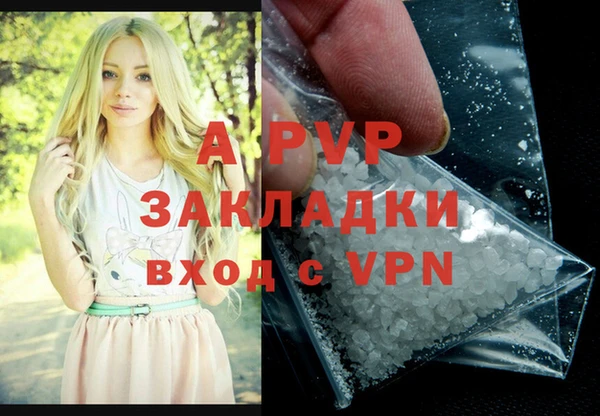 крисы Кодинск