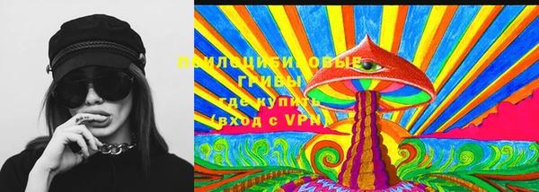 ПСИЛОЦИБИНОВЫЕ ГРИБЫ Козельск