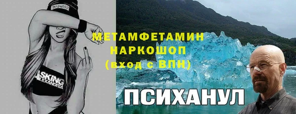 крисы Кодинск